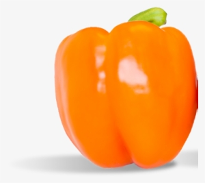 Peppers Are Packed With Vitamins And This Page Is Packed - Orange Pepper Png #1855233