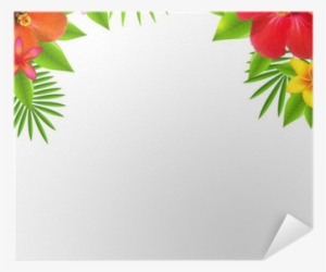 Tropical Flower Border Transparent #1855378