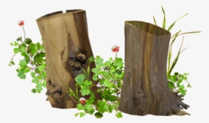 2treestumps - Dessin De Tronc D Arbre #1855507