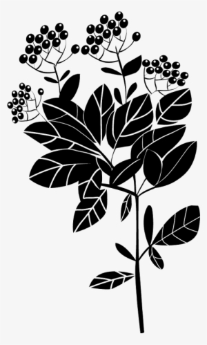 Meadows Dream Pngs - Me Afastar De Vc #1855581