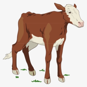Cow 2 Free Vector - Animal Farm Cow #1856250