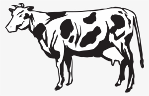 Dairy Cows Vector Graphics - Herd Of Cattle Clipart #1856337