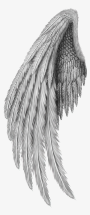 Angel Wings Freetoedit - Gold Angel Wings Png #1857651