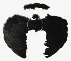 Perfect Black Angel Wings Transparent Image With Black - Black Angel Wings For Costumes #1857735