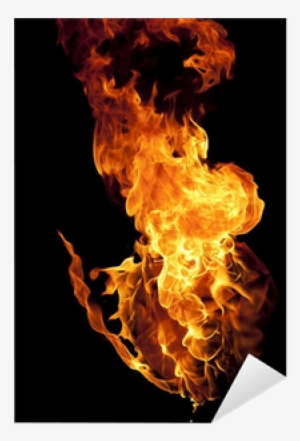 Catching Fire Mockingjay Pillow Sham #1857936