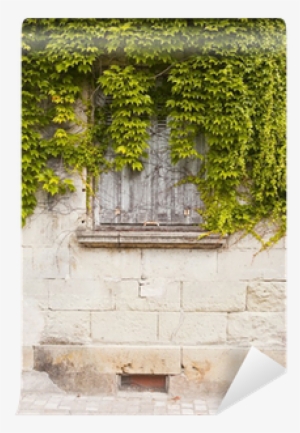 Wall #1858247 Wall #1858247