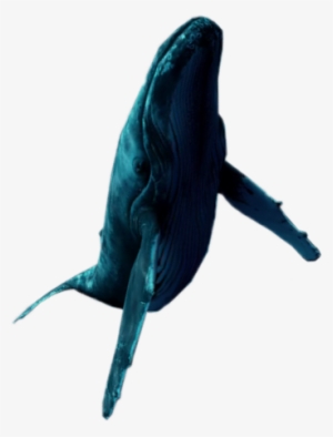 Blue Whale Swimming Vaporwave Aesthetic Tumblr - Aesthetic Whale Png #1859304