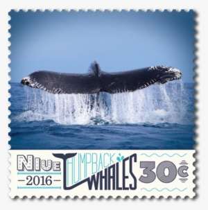 Product Listing For Niue 2016 Humpback Whales - Humpback Whale #1859592