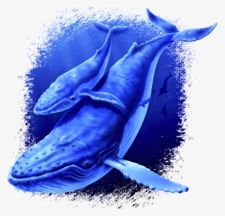 Whale Fabric, Humpback Whale And Baby Fabric Panel1125 - Whales #1859946 Whale Fabric, Humpback Whale And Baby Fabric Panel1125 - Whales #1859946