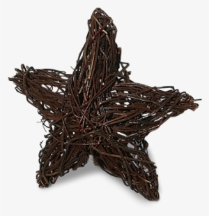 Wicker Xmas Star - ハロウィン イラスト 無料 かぼちゃ #1859947