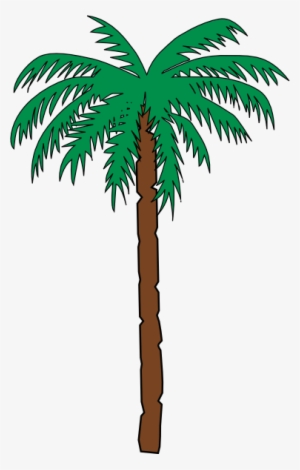 Palm Tree Clipart Jungle - Straight Palm Tree Cartoon #1860699