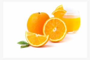 Valencia Orange Tree - Valencia Orange #1861475