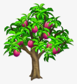 Trees And Bushes - Guiana Chestnut #1861717