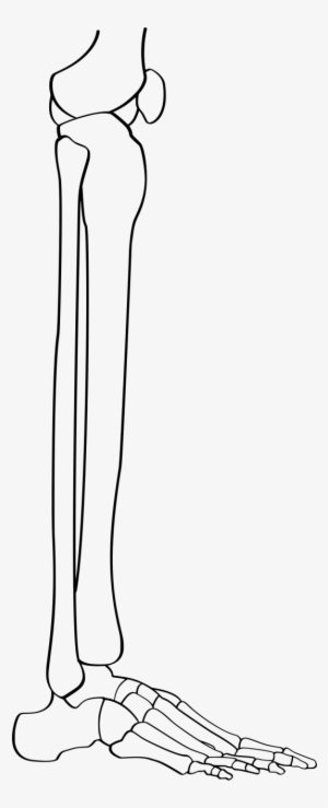 Large Size Of Drawing - Crus #1861787