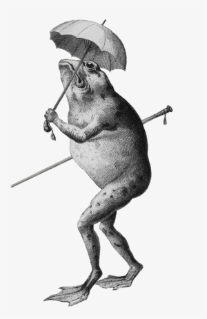 Frog Clip Art Cartoon - Clip Art #1861843