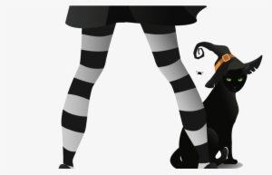 Trans Legscat-1080x675 - Willa Wicked: A Charming Tale [book] #1861898