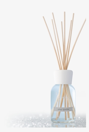 A Touch Of Warm Cedarwood And Pine Enveloped With Vetiver's - Vase #1862574