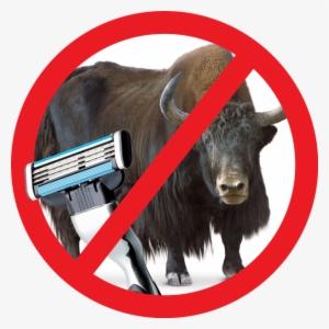 For More Information Attend Fraser Gordon's Presentation - Bull #1863651