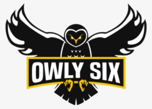 Owly Six Announces Overwatch Roster - Owly Six #1864549
