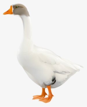 Goose Png #1864571