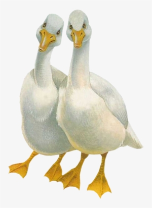 Tubes Easter - Website #1864648