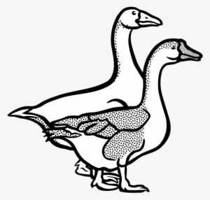 Banner Freeuse Download Canada Line Art Duck Free Commercial - Clipart Black And White Geese #1864692
