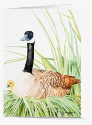Artist Cards - Canada Goose #1864801