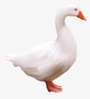 Free Png Goose Png Images Transparent - Goose Png #1864957