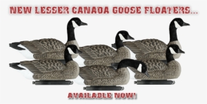 The Best Decoy Company - Canada Goose #1865432