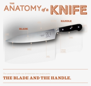 Knives - Shoe #1865928 Knives - Shoe #1865928