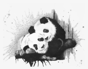 Search Form - Giant Panda #1866114