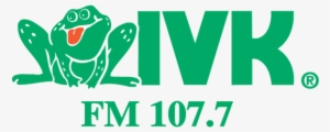 Listen To The Frog Station Live - Vol Network #1867036