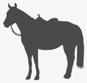 Pleasure Horse - Western Horse Silhouette #1867673