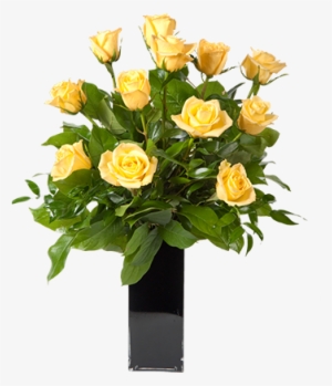 Two Dozen Yellow Roses - Bazaruto Island #1869092
