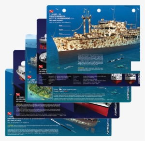 Wreck Diving In Cozumel For Certified Wreck Divers - C 53 Wreck Cozumel #1869113