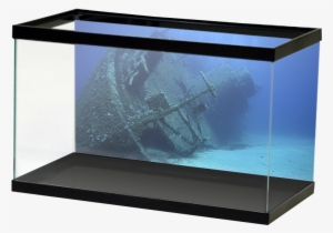 Specialty Shipwreck #1869175