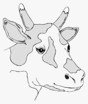 Mb Image/png - Kepala Sapi Vektor Png #1871701