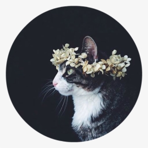 Dabbing Sucks - Стих Арт #1872353