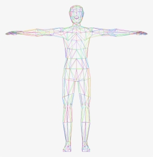 Go To Image - Human Body Wire Frame #1872833