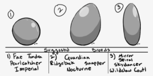 Zsc3bzw - Circle #1873195