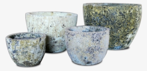 Anamese Ovo Egg Planter Set #1873540