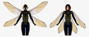 Png Vespa - Hope Van Dyne The Wasp #1874284