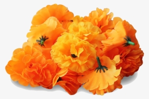 Unique Poppy Clip Art Clipart Free Download On - Marigolds Png #1875408