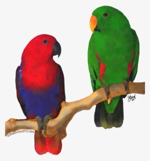 Eclectus Pair, Digital Oil Bird Perch, Parrot Toys, - Parrot #1875620