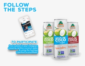Jarritos Coconut Water Cruise Sweepstakes - Smartphone #1876669