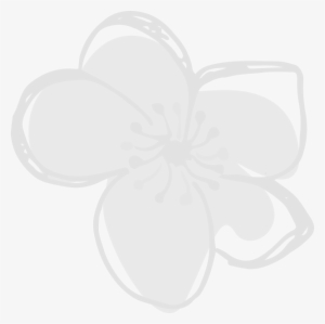 Picture Library Library Hawthorn About Herbal Medicine - Flower Watermark #1877900