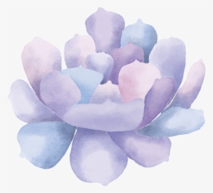 Watercolor Succulent Clip Art3 - Watercolor Painting #1879411