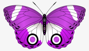Attn - Borboleta Vermelha Png #1879873
