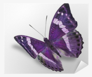 Sterben Und Werden - Epub #1880031