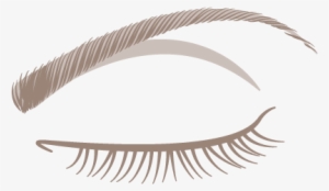 Perfect Eyebrows And Lashes With Closed Eyes Png Images - Closed Eye With Lashes Png #1880211